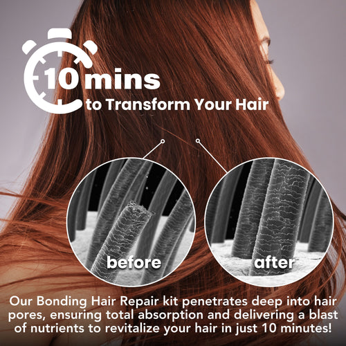 Cleansing & Conditioning Bundle